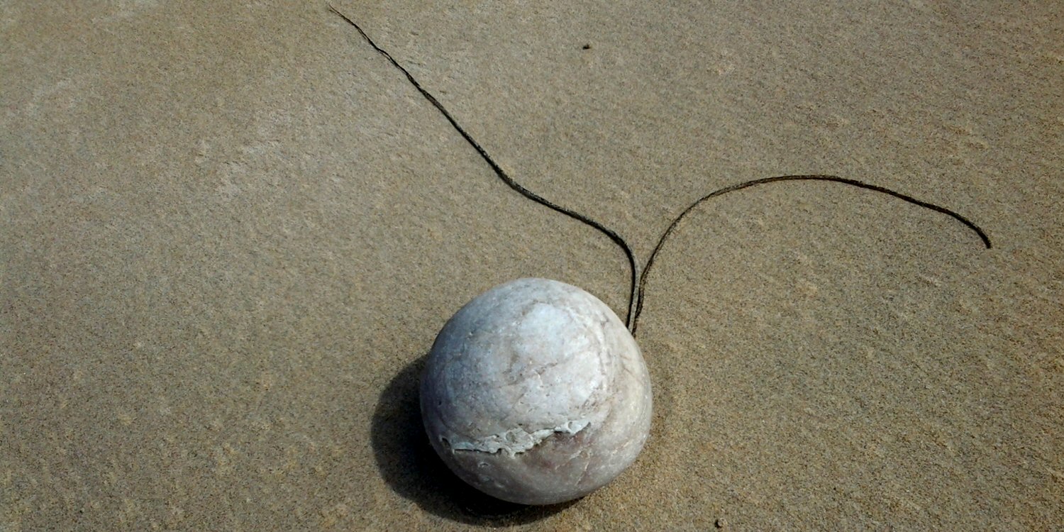 Album Strandwanderungen