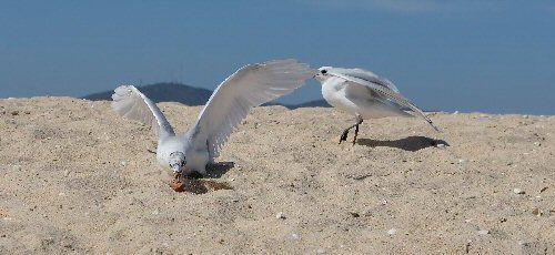 Strandwanderungen