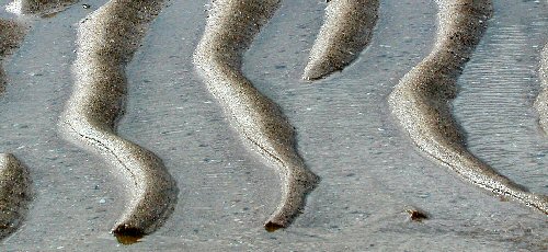 Strandwanderungen