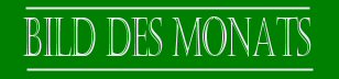 Bild des Monats