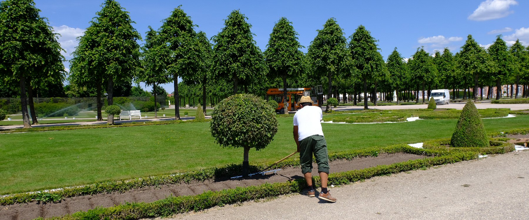 Schwetzinger Schlossgarten Sommerbepflanzung