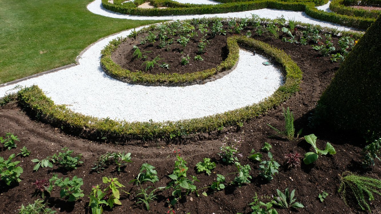 Schwetzinger Schlossgarten Sommerbepflanzung