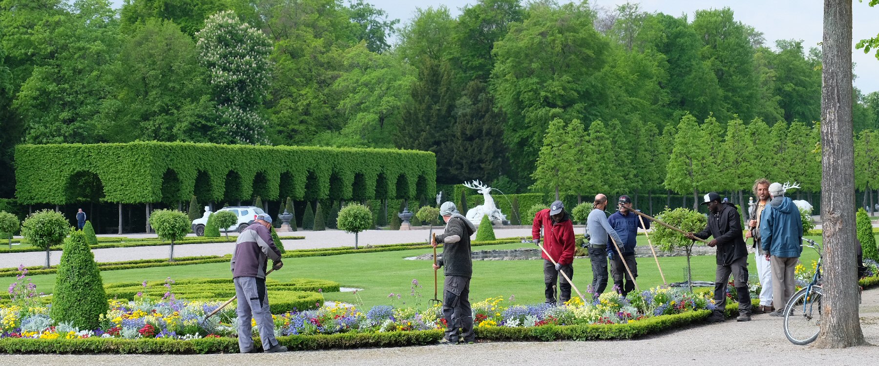 Schwetzinger Schlossgarten Sommerbepflanzung