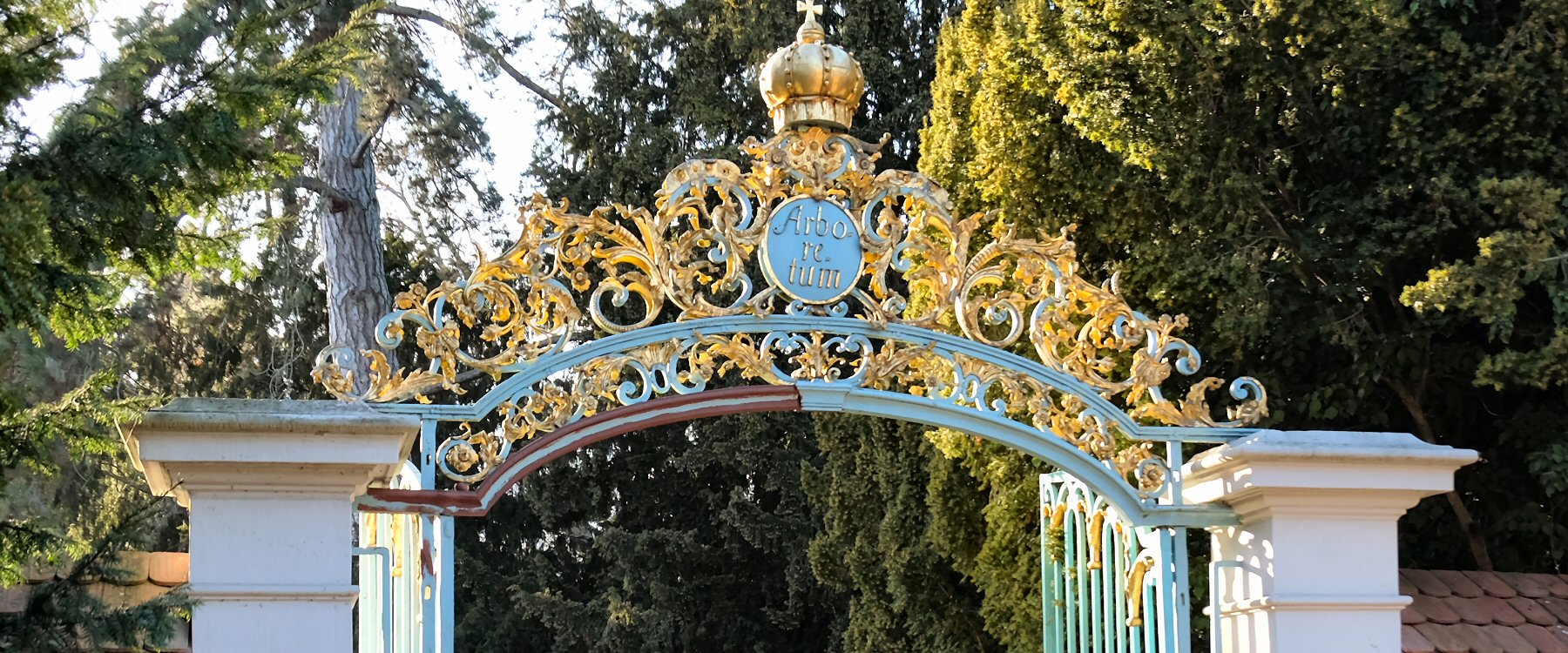 Arboretum