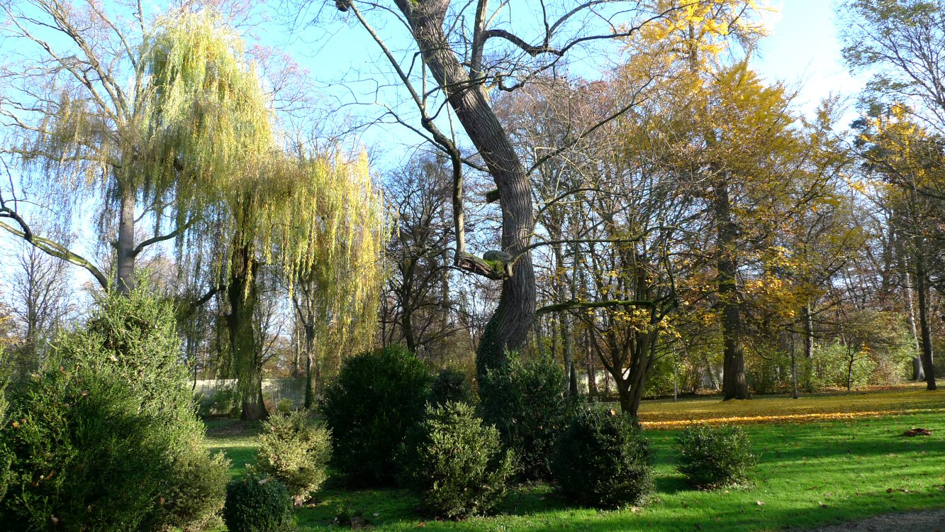 Arboretum