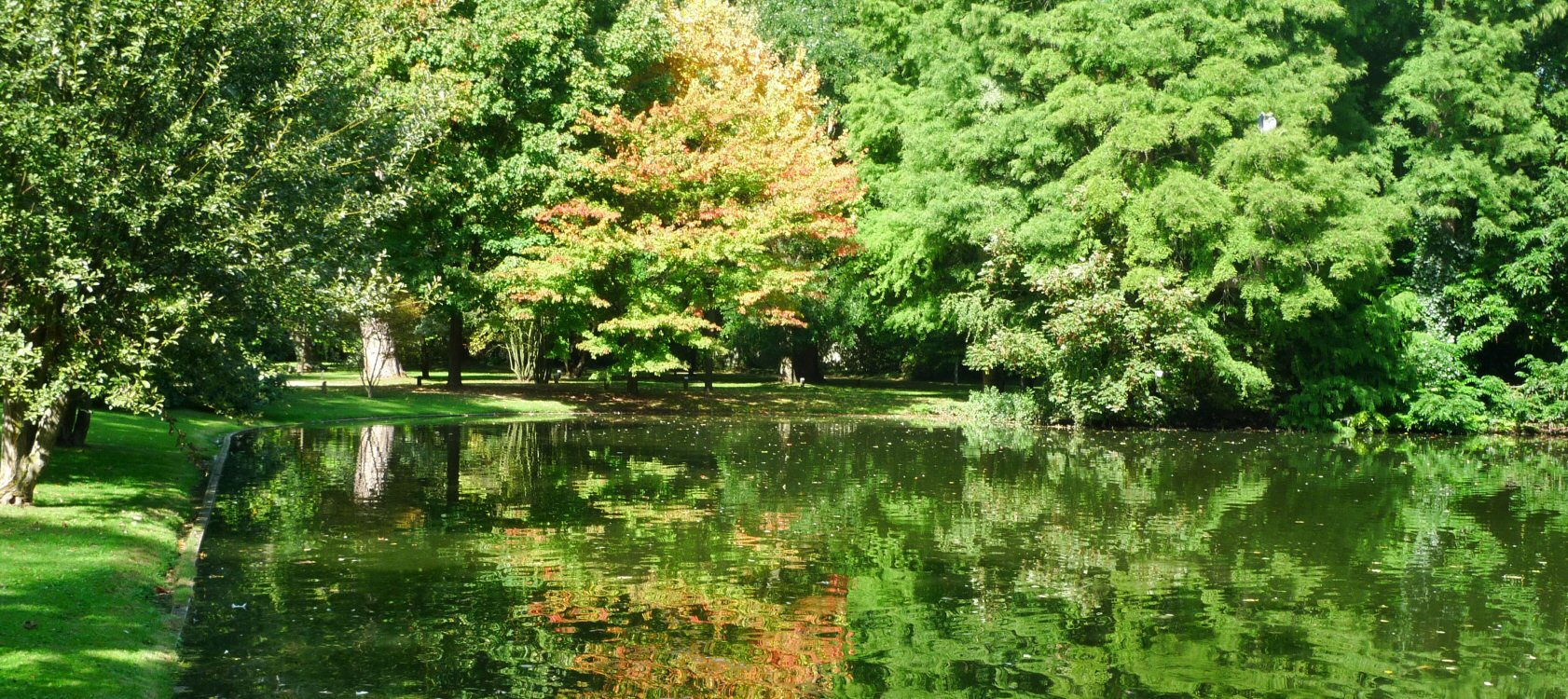 Arboretum