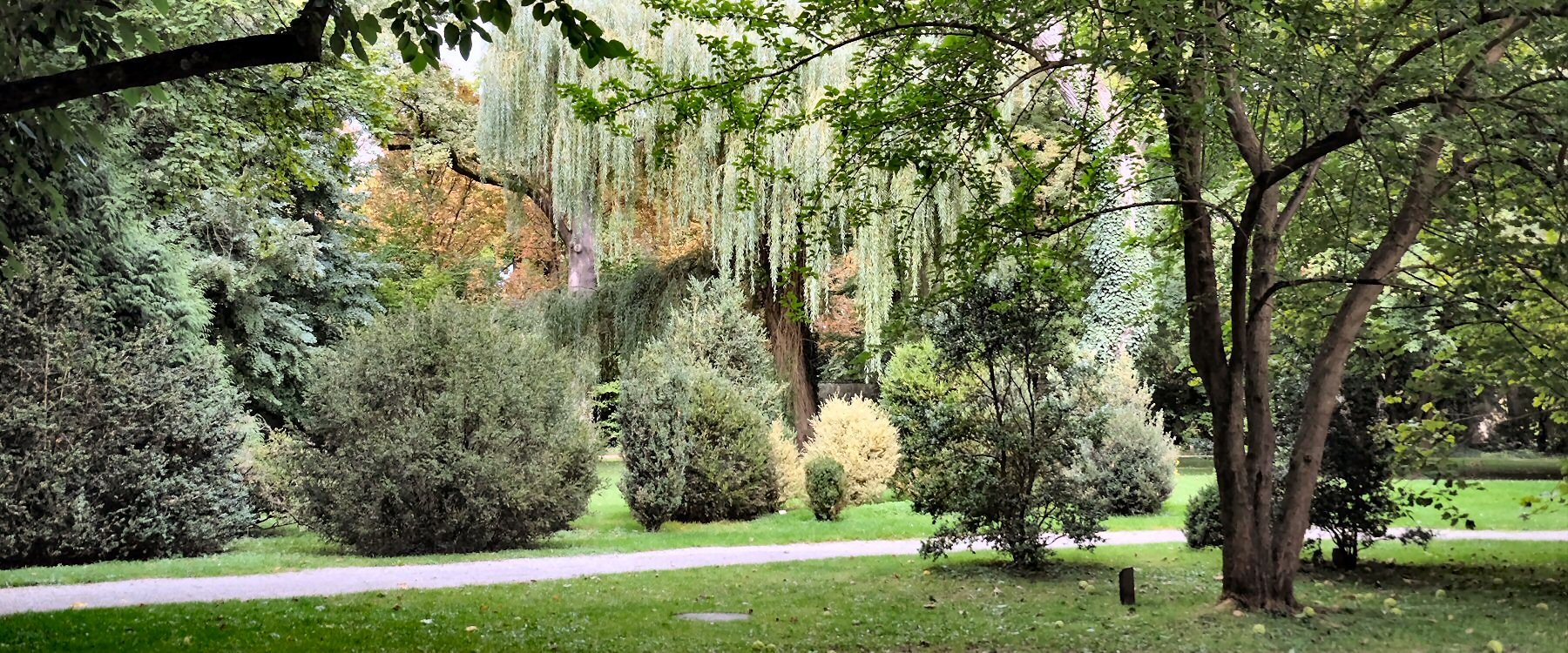Arboretum