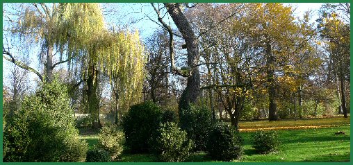 Arboretum