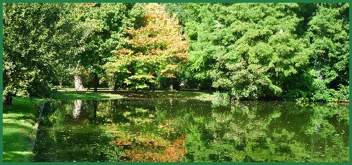 Arboretum