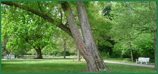 Arboretum