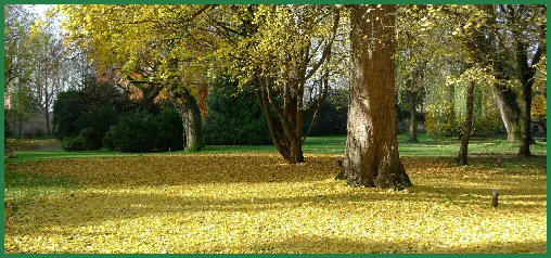 Arboretum