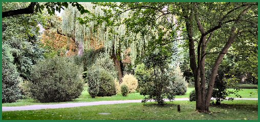 Arboretum