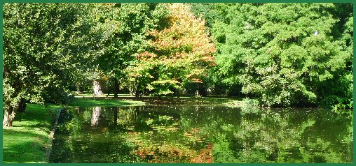 Arboretum