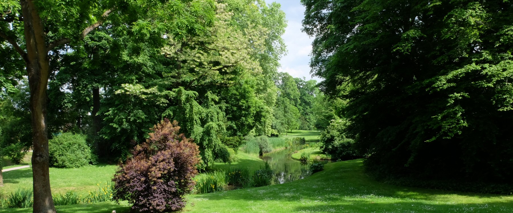 Arborium