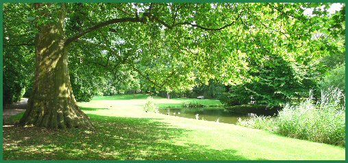 Arborium