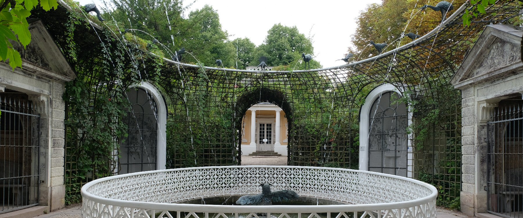 Wasserspeiende Vögel