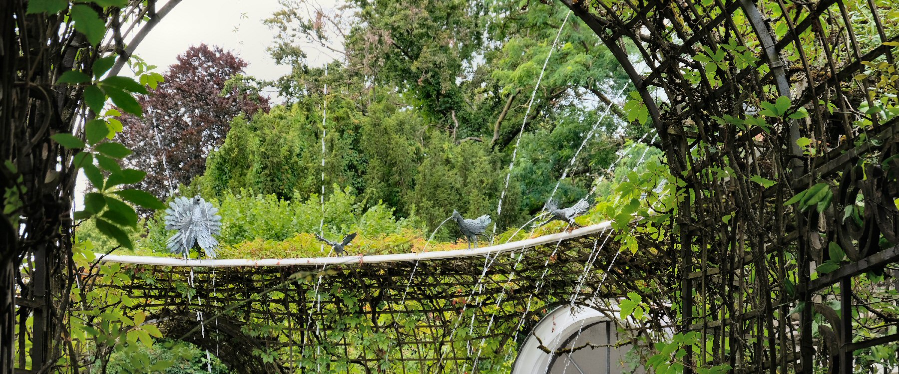 Wasserspeiende Vögel