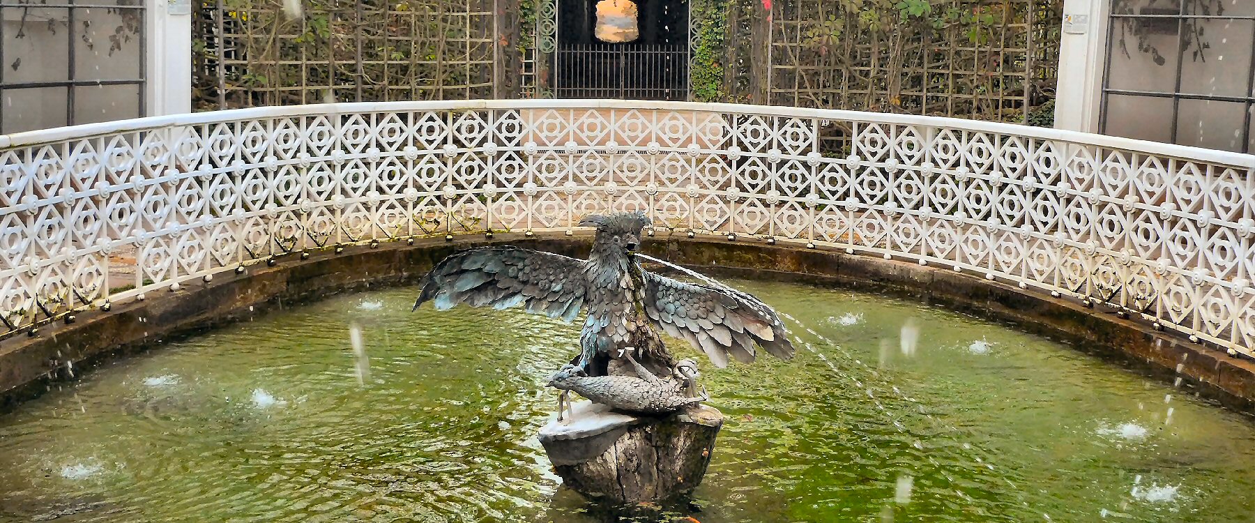Wasserspeiende Vögel
