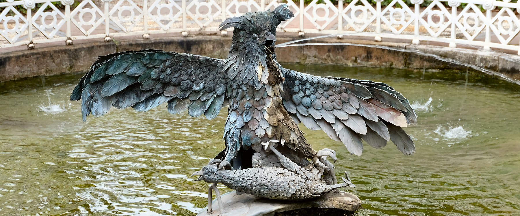 Wasserspeiende Vögel