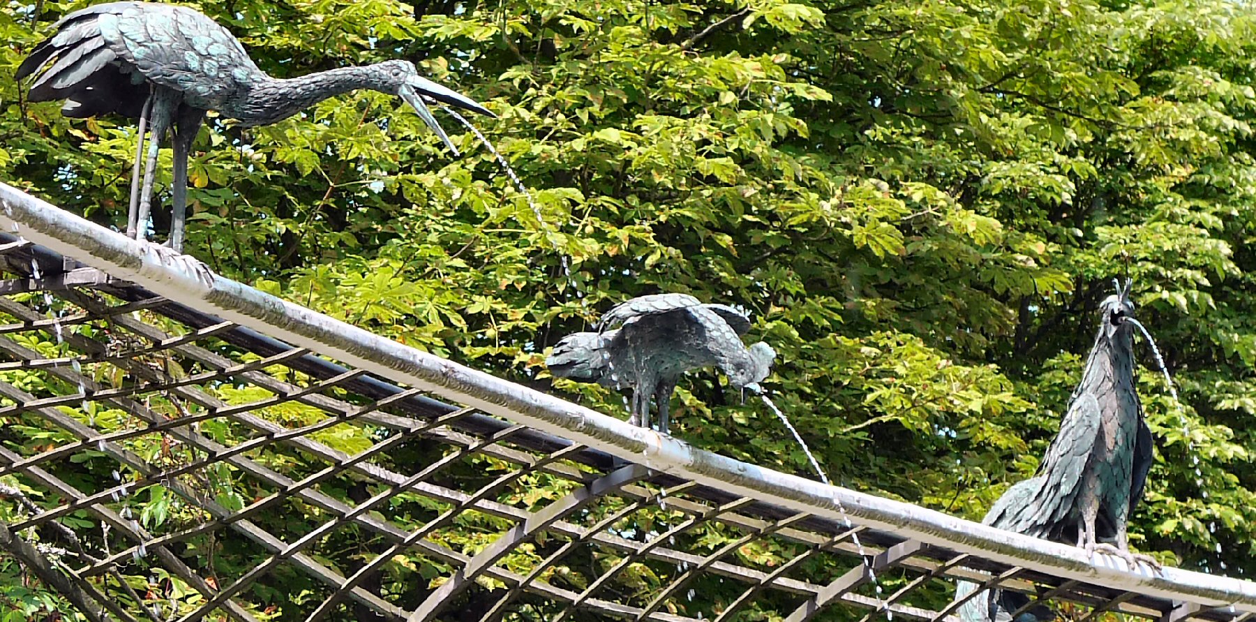 Wasserspeiende Vögel