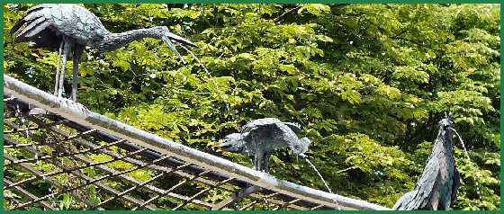 Wasserspeiende Vögel