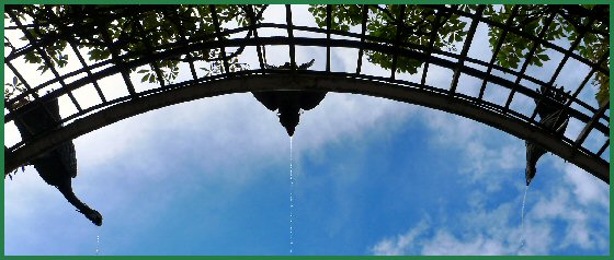 Wasserspeiende Vögel