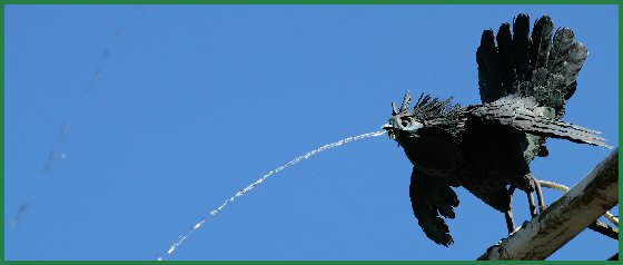 Wasserspeiende Vögel