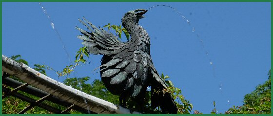Wasserspeiende Vögel