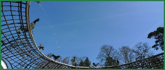Wasserspeiende Vögel