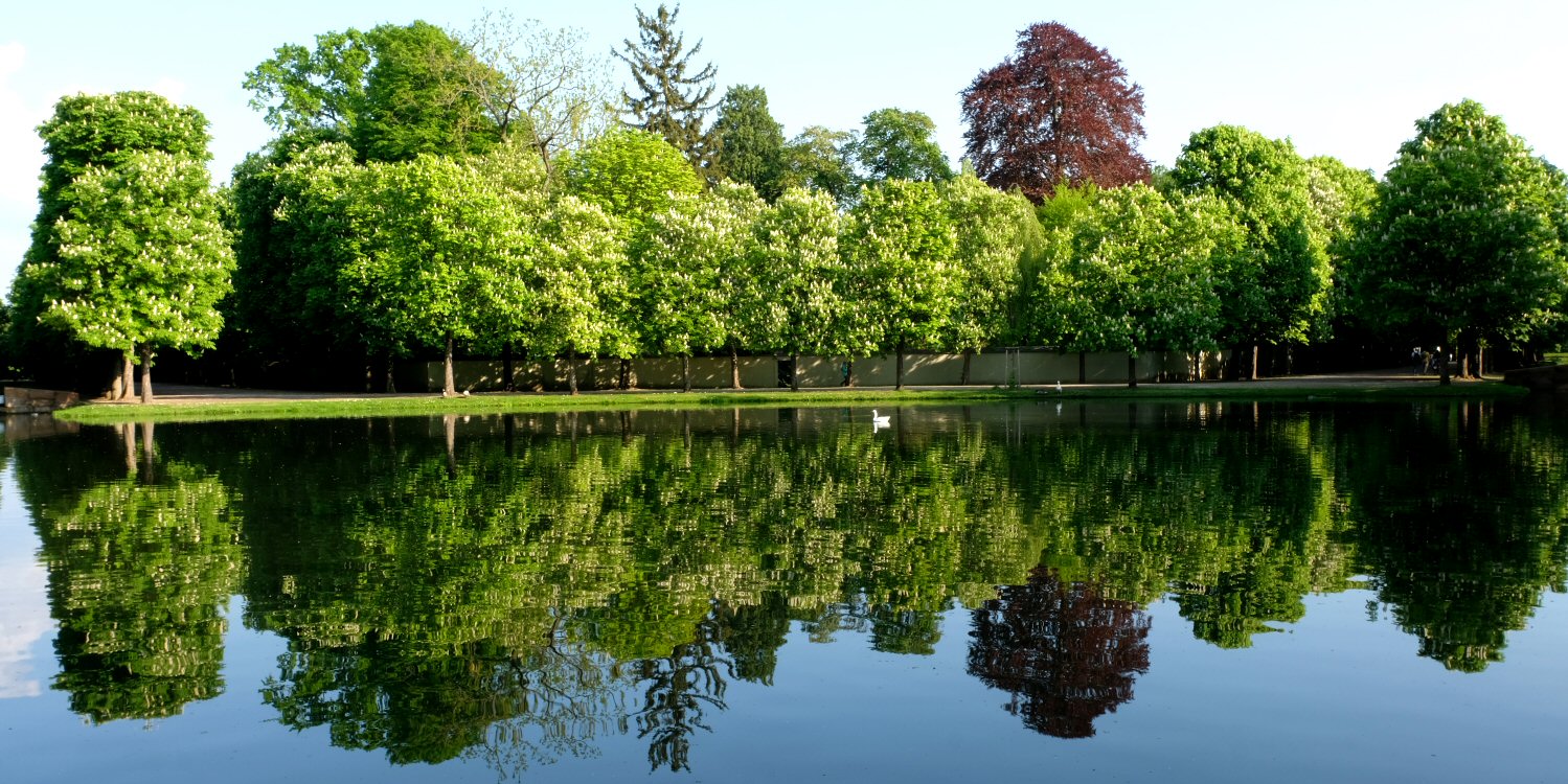 Reflexionen