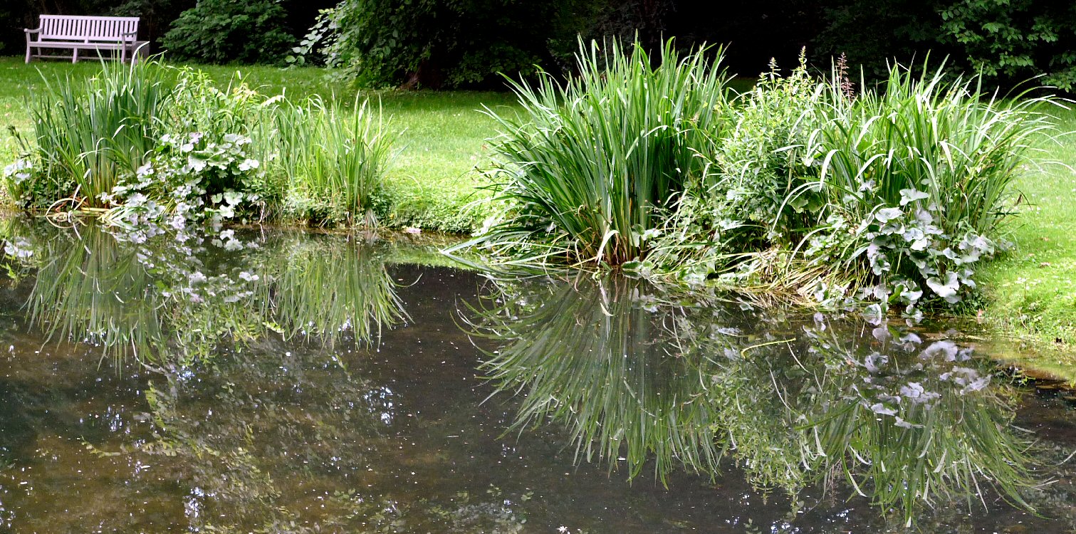 Spiegelungen