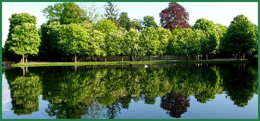 Reflexionen