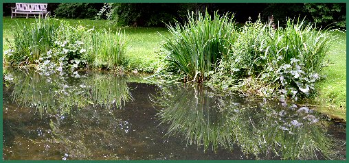 Reflexionen