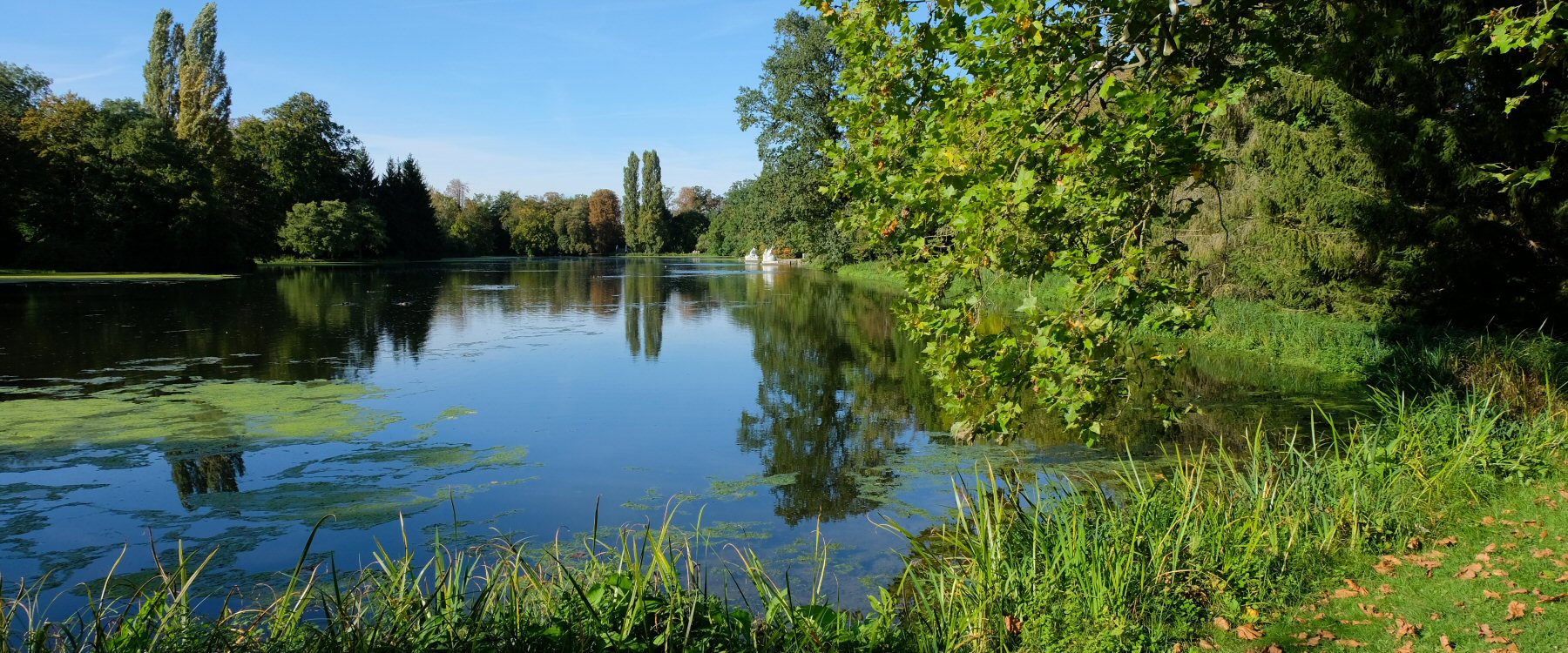 Schwetzinger Schlossgarten