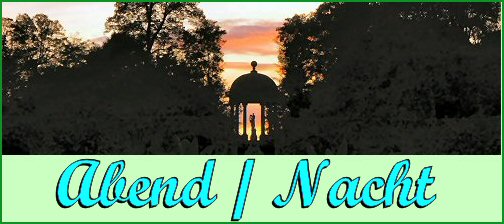 Garten/Nacht