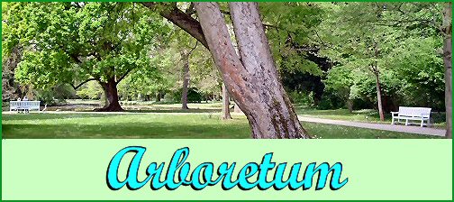Arboretum
