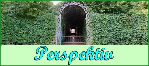 Perspektiv