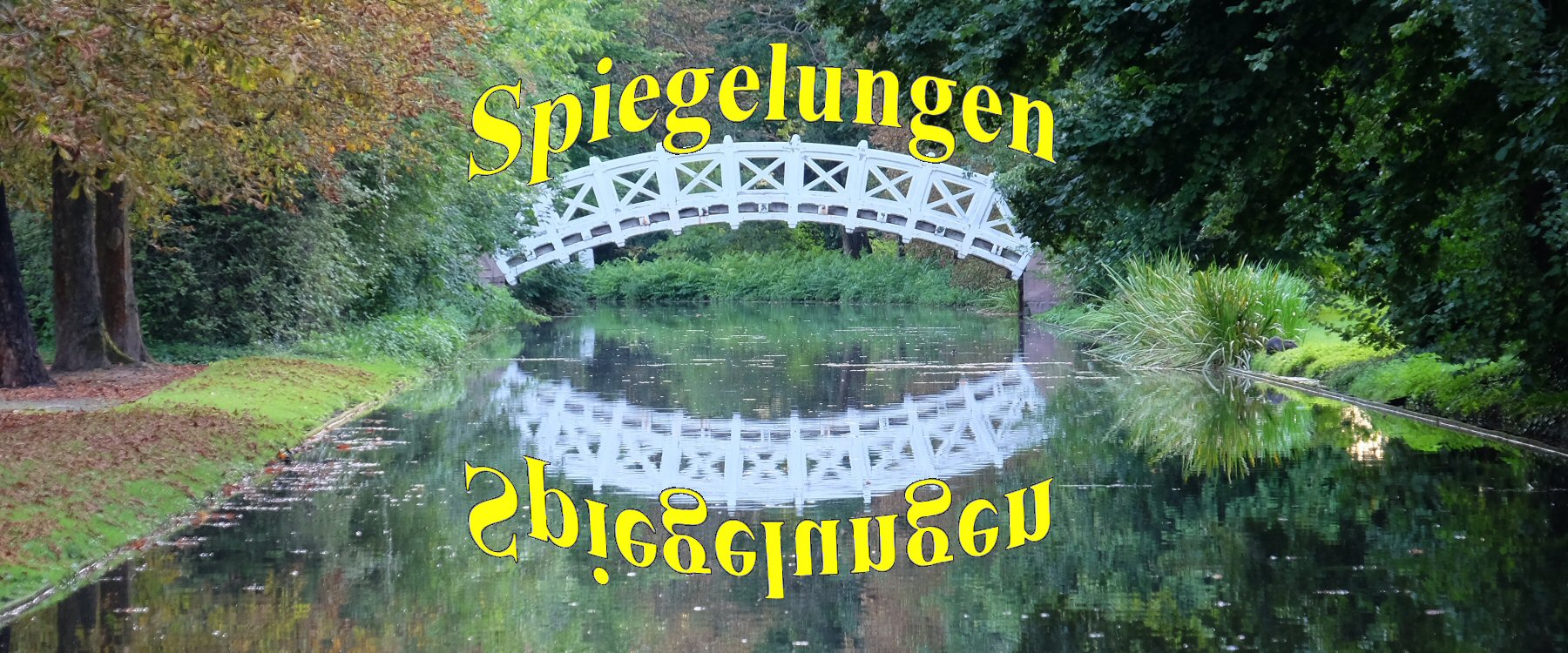 Spiegelungen