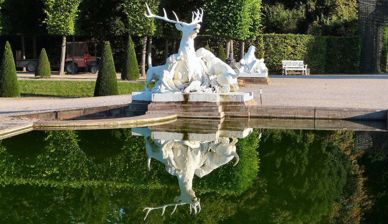 Spiegelungen