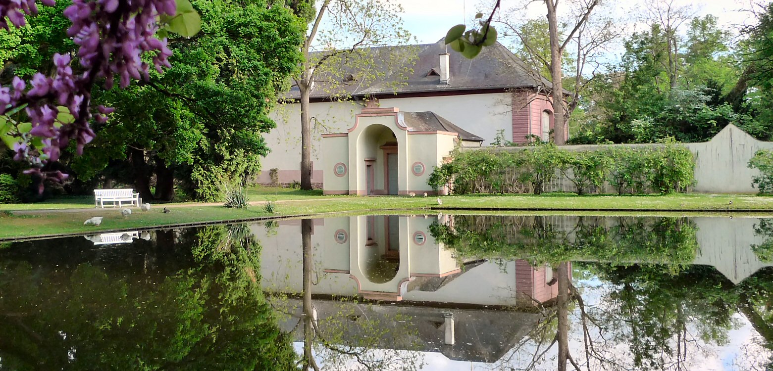 Spiegelungen