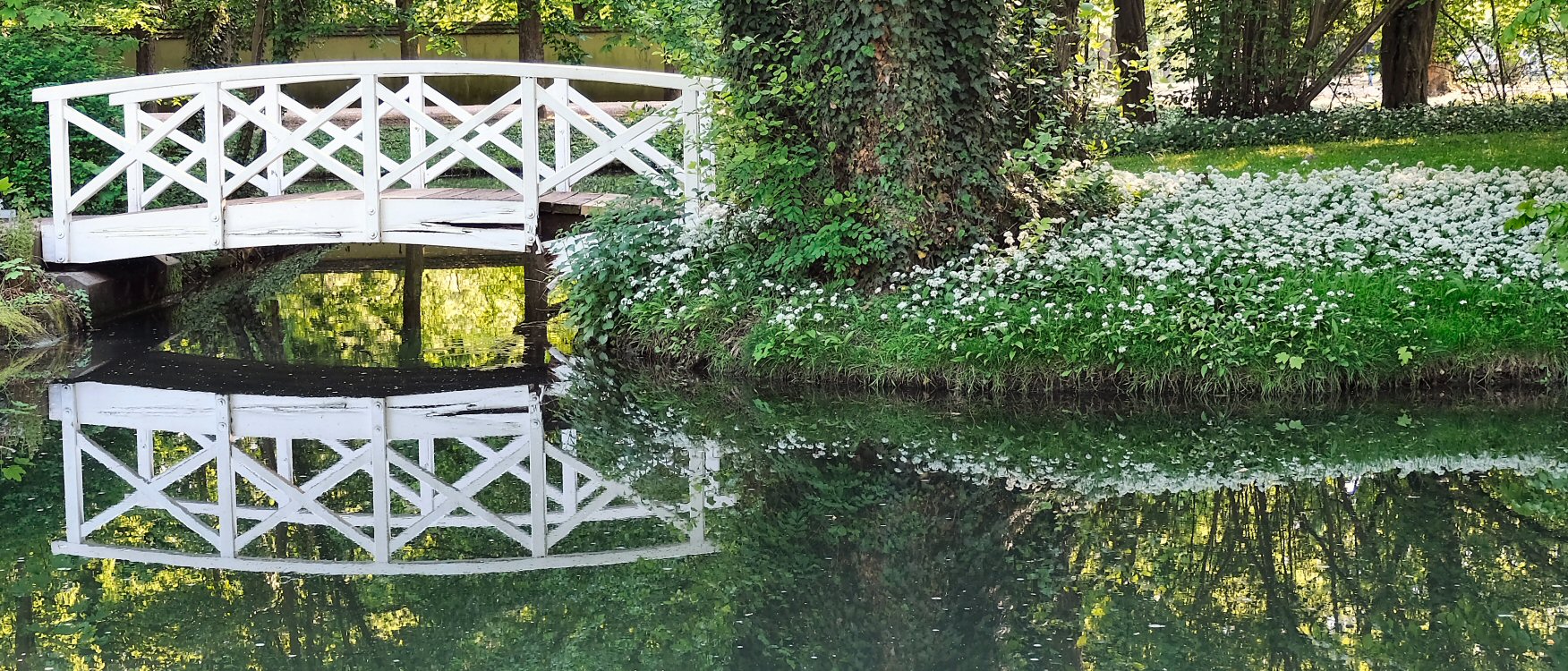 Spiegelungen