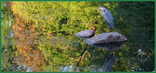 Tiere im Schlossgarten