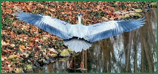 Tiere im Schlossgarten