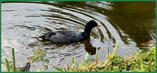 Tiere im Schlossgarten