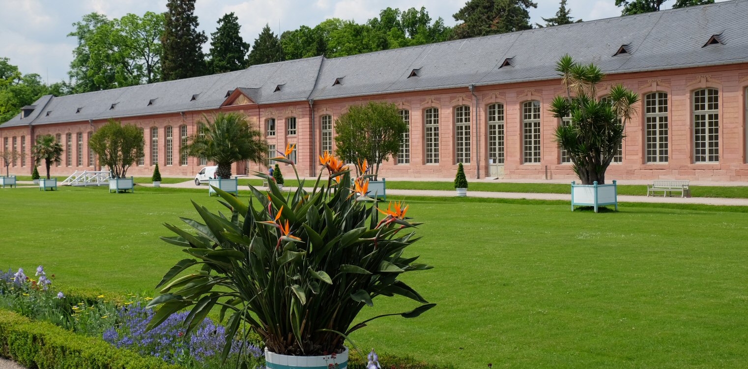 Schwetzinger Schlossgarten, Orangerie
