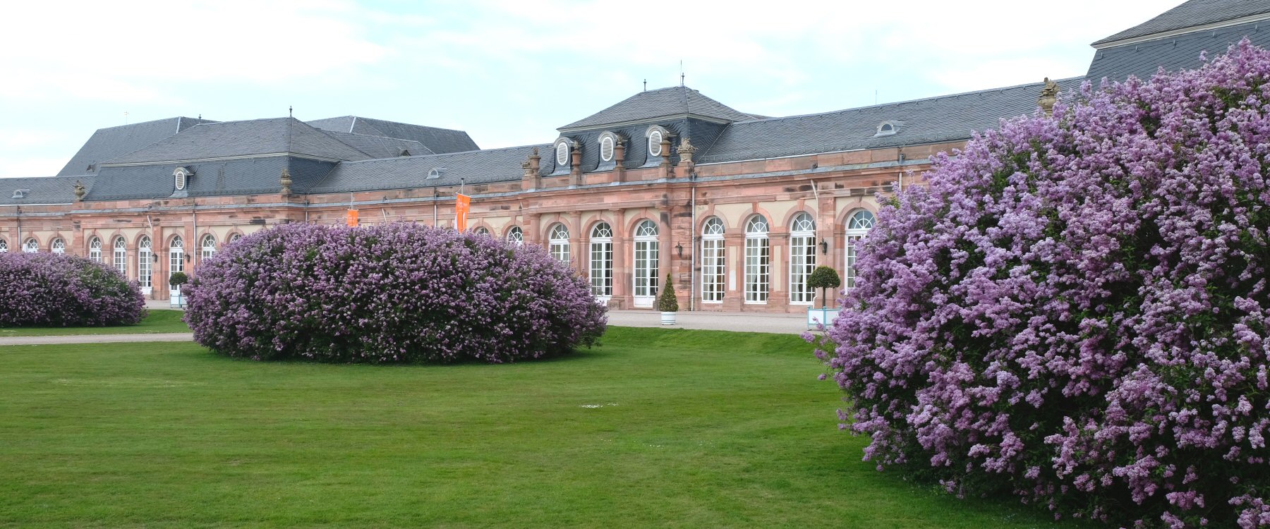 Frühling