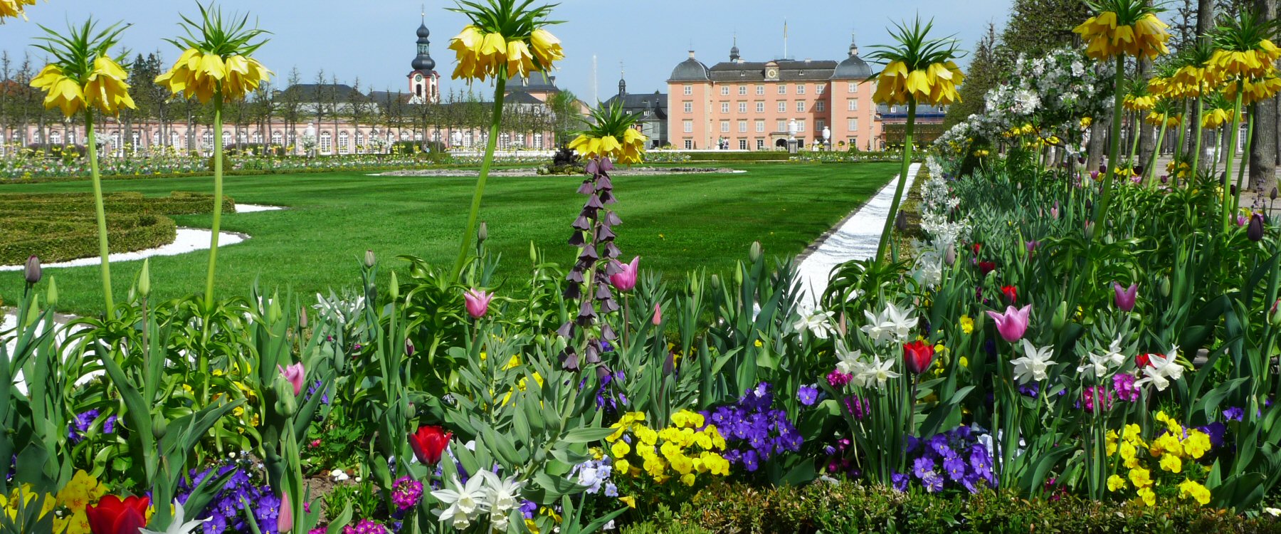 Frühling
