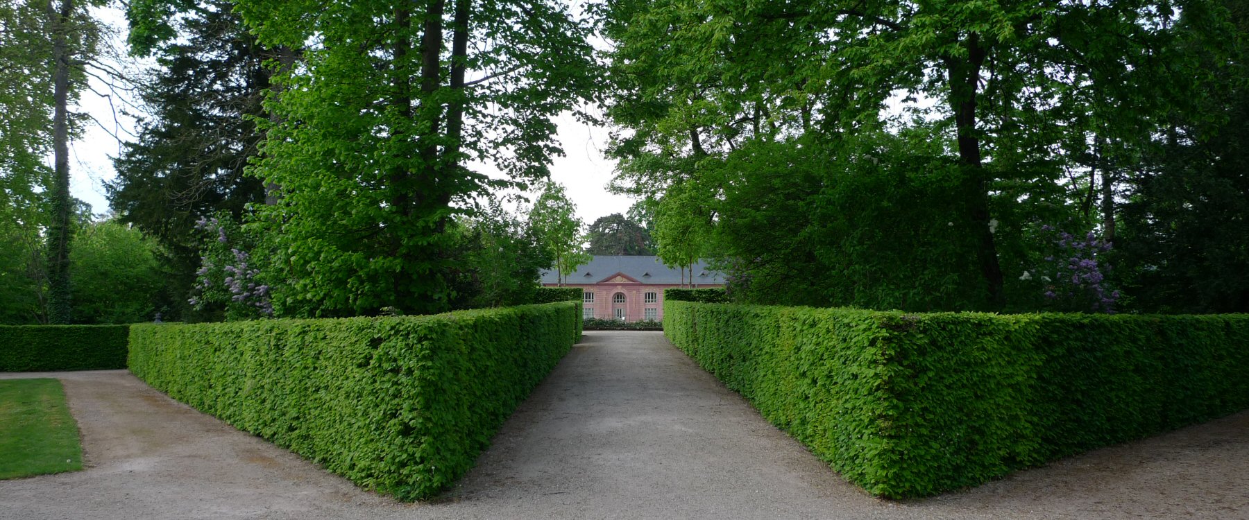 Frühling
