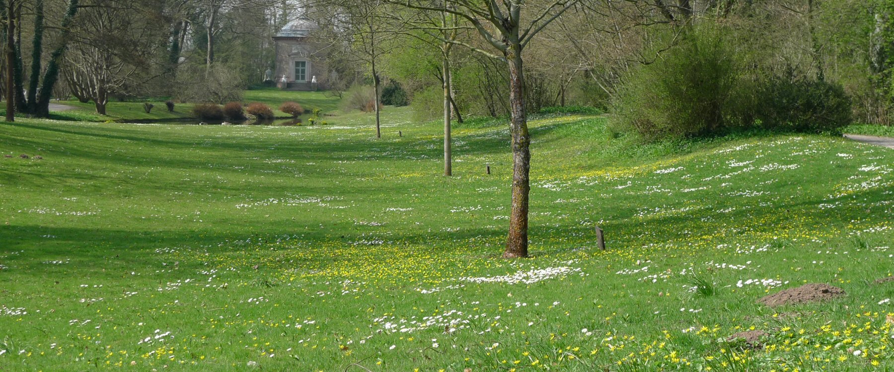 Frühling