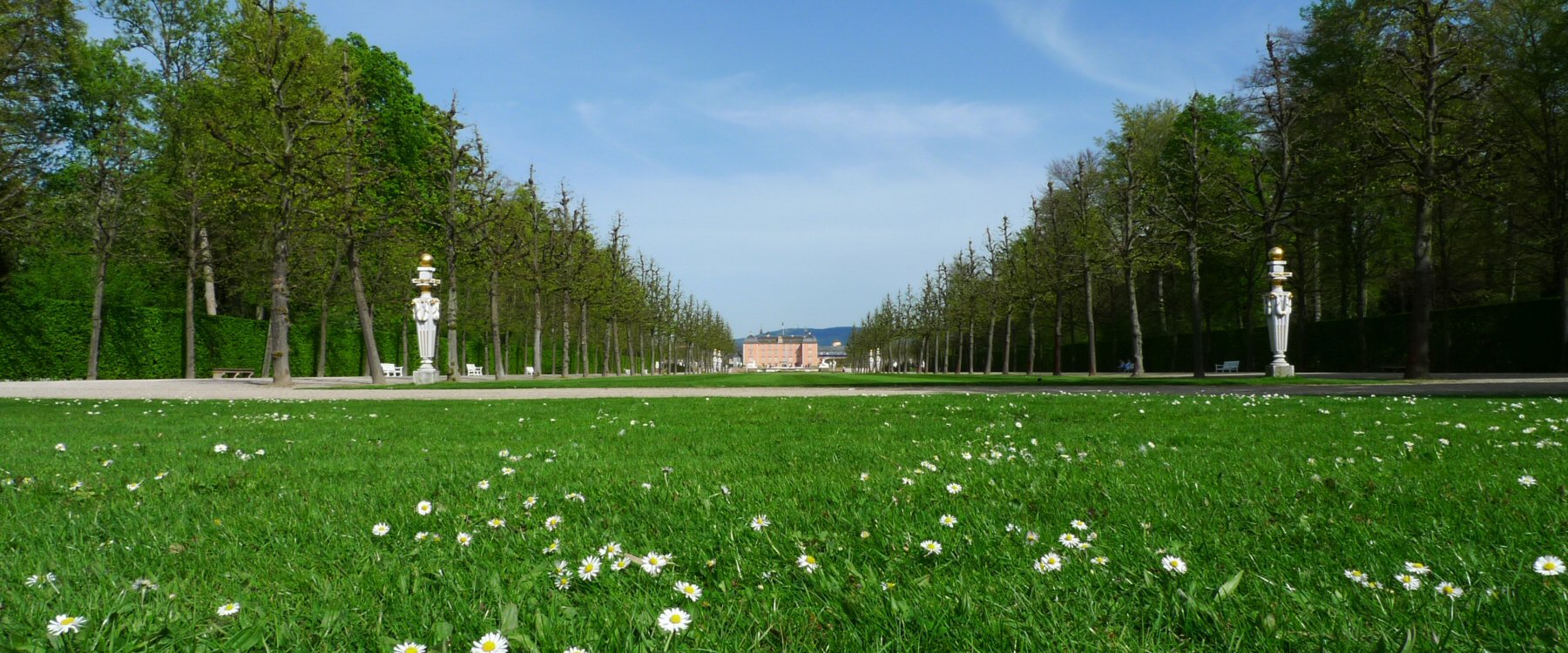 Frühling